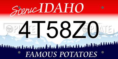 4T58Z0 Idaho License Plate