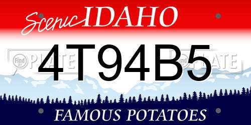 4T94B5 Idaho License Plate