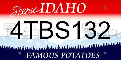 4TBS132 Idaho License Plate