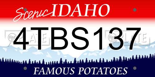4TBS137 Idaho License Plate