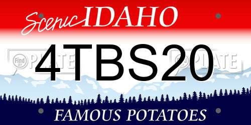 4TBS20 Idaho License Plate