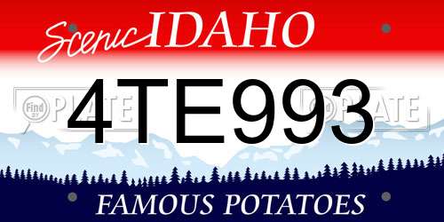 4TE993 Idaho License Plate