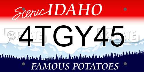 4TGY45 Idaho License Plate