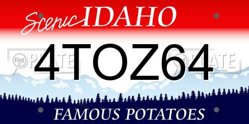4TOZ64 Idaho License Plate