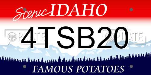 4TSB20 Idaho License Plate