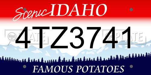 4TZ3741 Idaho License Plate