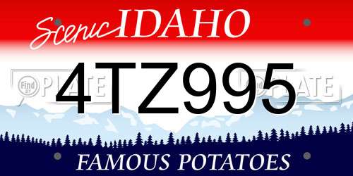 4TZ995 Idaho License Plate