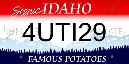4UTI29 Idaho License Plate
