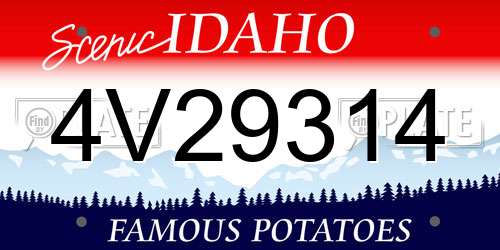 4V29314 Idaho License Plate
