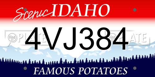 4VJ384 Idaho License Plate