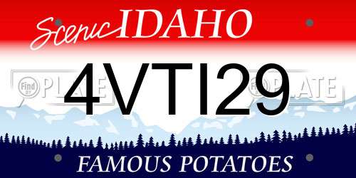 4VTI29 Idaho License Plate