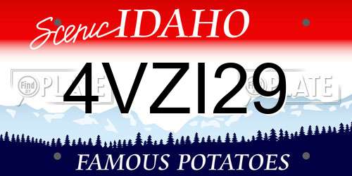 4VZI29 Idaho License Plate