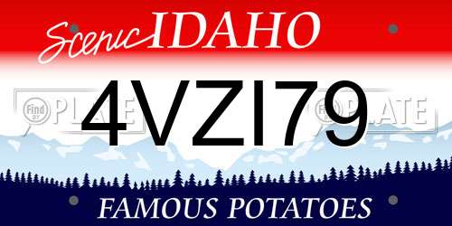 4VZI79 Idaho License Plate