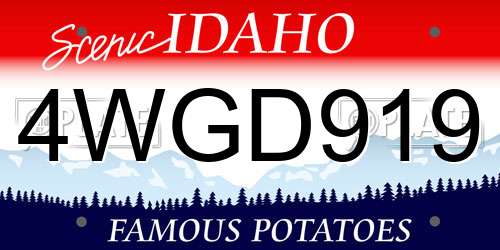 4WGD919 Idaho License Plate