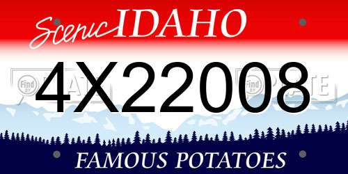 4X22008 Idaho License Plate