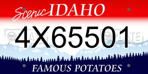 4X65501 Idaho License Plate