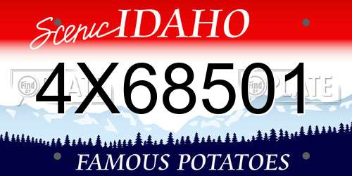 4X68501 Idaho License Plate