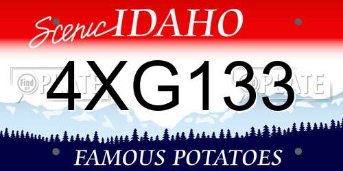 4XG133 Idaho License Plate