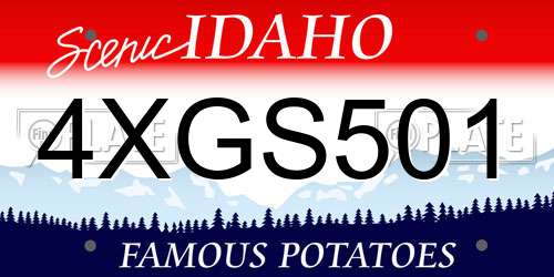 4XGS501 Idaho License Plate