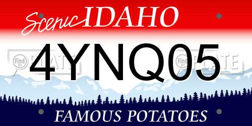 4YNQ05 Idaho License Plate