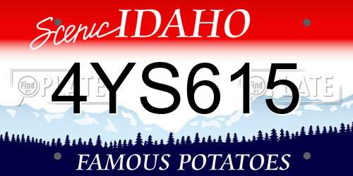 4YS615 Idaho License Plate