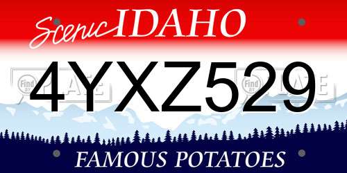 4YXZ529 Idaho License Plate