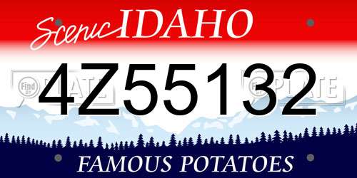 4Z55132 Idaho License Plate