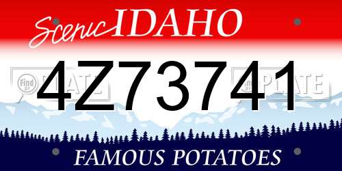 4Z73741 Idaho License Plate