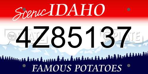4Z85137 Idaho License Plate
