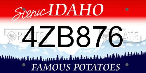 4ZB876 Idaho License Plate
