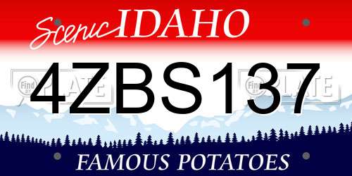 4ZBS137 Idaho License Plate