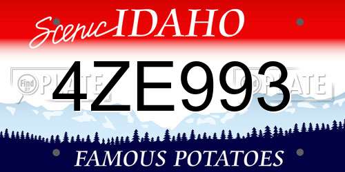 4ZE993 Idaho License Plate