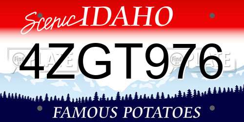 4ZGT976 Idaho License Plate