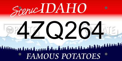 4ZQ264 Idaho License Plate
