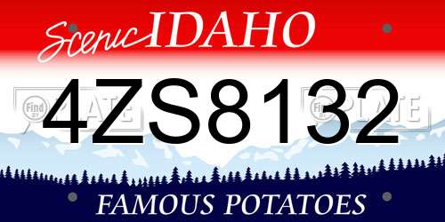 4ZS8132 Idaho License Plate