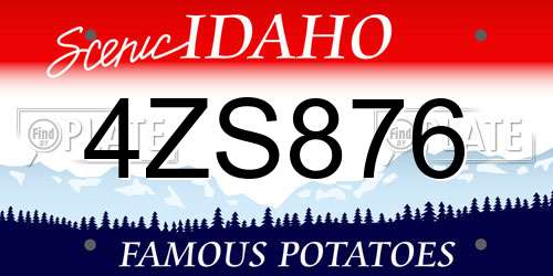 4ZS876 Idaho License Plate
