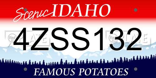 4ZSS132 Idaho License Plate