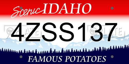 4ZSS137 Idaho License Plate