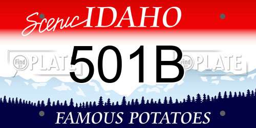 501B Idaho License Plate