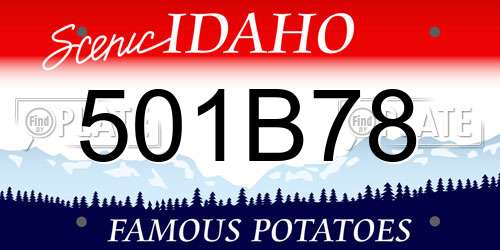 501B78 Idaho License Plate