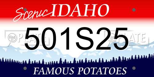 501S25 Idaho License Plate