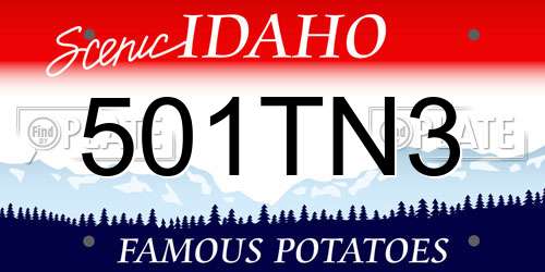 501TN3 Idaho License Plate
