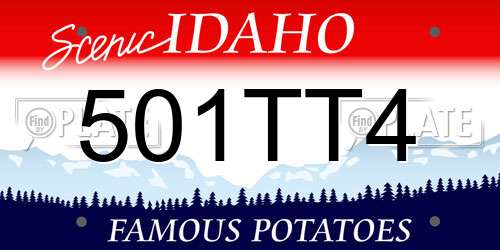 501TT4 Idaho License Plate