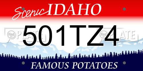 501TZ4 Idaho License Plate