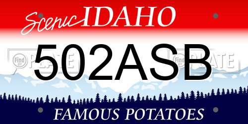 502ASB Idaho License Plate
