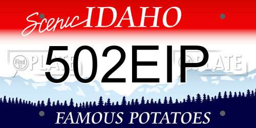 502EIP Idaho License Plate