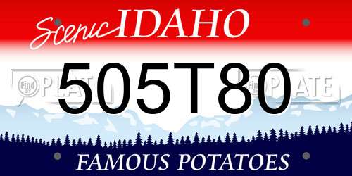505T80 Idaho License Plate