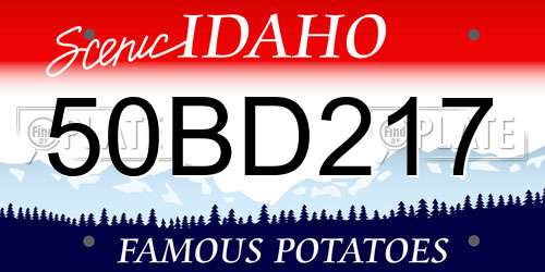 50BD217 Idaho License Plate