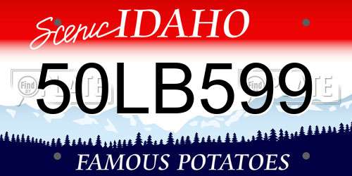 50LB599 Idaho License Plate