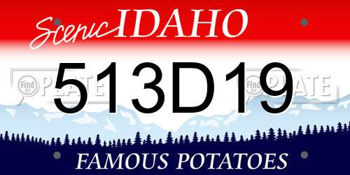 513D19 Idaho License Plate
